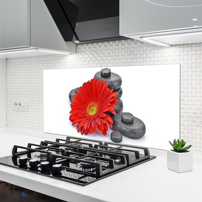 Painel cozinha Flores de Gérbera Vermelha