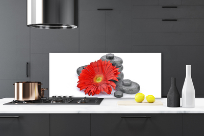 Painel cozinha Flores de Gérbera Vermelha