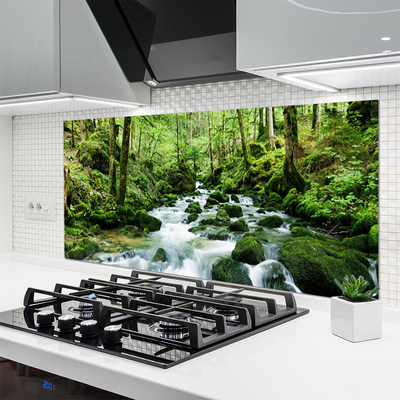 Painel vidro cozinha Rio Cachoeiras Riacho Florestal