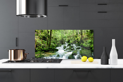 Painel vidro cozinha Rio Cachoeiras Riacho Florestal