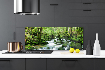 Painel vidro cozinha Rio Cachoeiras Riacho Florestal