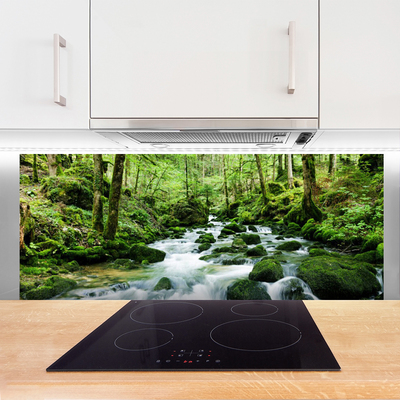 Painel vidro cozinha Rio Cachoeiras Riacho Florestal