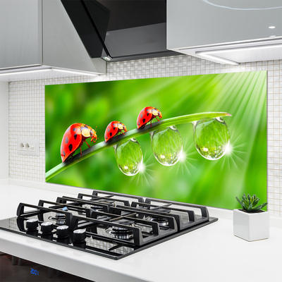 Painel vidro cozinha Joaninhas em uma folha cai