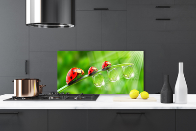 Painel vidro cozinha Joaninhas em uma folha cai