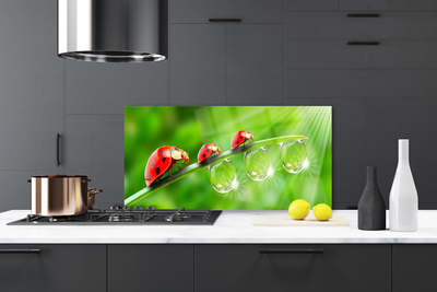 Painel vidro cozinha Joaninhas em uma folha cai