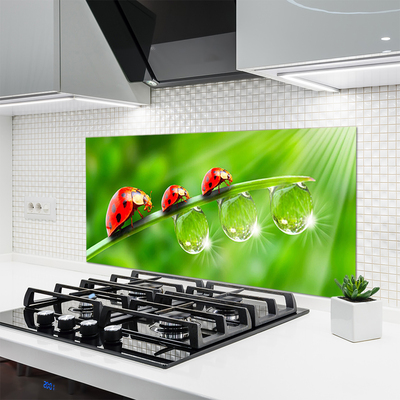 Painel vidro cozinha Joaninhas em uma folha cai