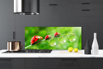 Painel vidro cozinha Joaninhas em uma folha cai