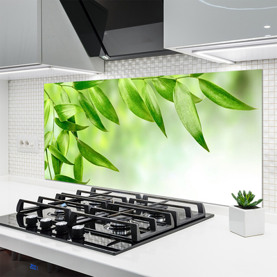 Painel vidro cozinha Folhas Verdes Natureza