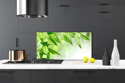Painel vidro cozinha Folhas Verdes Natureza