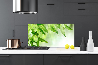 Painel vidro cozinha Folhas Verdes Natureza