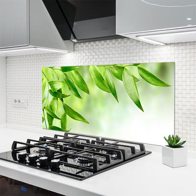 Painel vidro cozinha Folhas Verdes Natureza