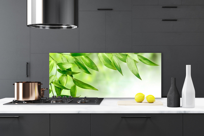 Painel vidro cozinha Folhas Verdes Natureza
