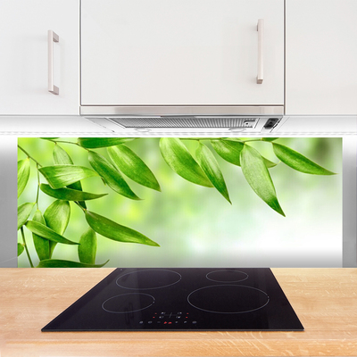 Painel vidro cozinha Folhas Verdes Natureza