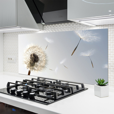 Painel vidro cozinha Flores de dente-de-leão Natureza