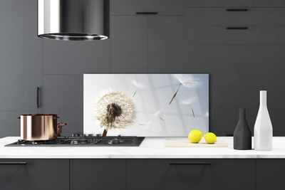 Painel vidro cozinha Flores de dente-de-leão Natureza