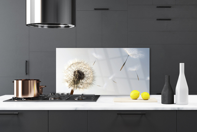 Painel vidro cozinha Flores de dente-de-leão Natureza