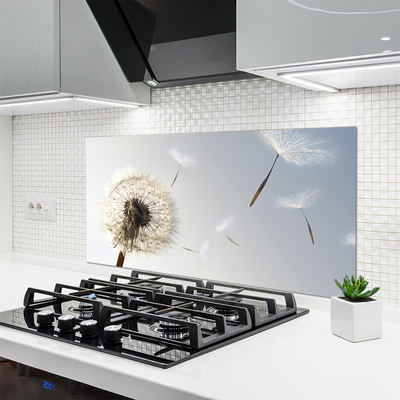 Painel vidro cozinha Flores de dente-de-leão Natureza