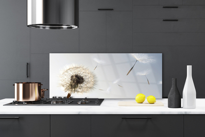 Painel vidro cozinha Flores de dente-de-leão Natureza