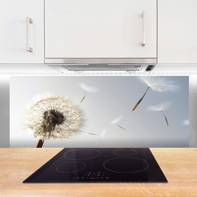 Painel vidro cozinha Flores de dente-de-leão Natureza