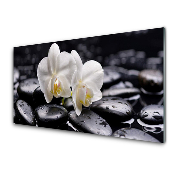 Painel cozinha Spa Zen White Orchid