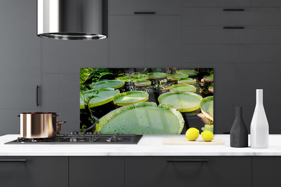 Painel vidro cozinha Folhas Lago Natureza