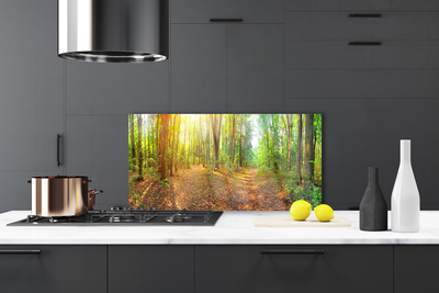 Painel vidro cozinha Caminho da Floresta da Natureza do Sol