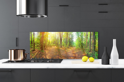 Painel vidro cozinha Caminho da Floresta da Natureza do Sol