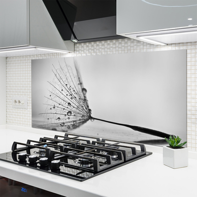 Painel vidro cozinha Sementes de dente-de-leão