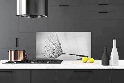 Painel vidro cozinha Sementes de dente-de-leão
