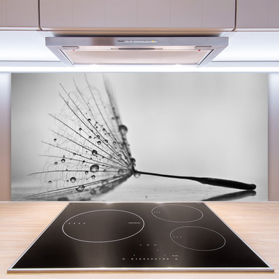 Painel vidro cozinha Sementes de dente-de-leão