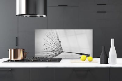 Painel vidro cozinha Sementes de dente-de-leão