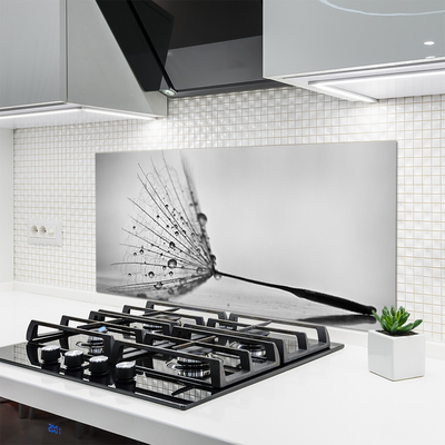 Painel vidro cozinha Sementes de dente-de-leão