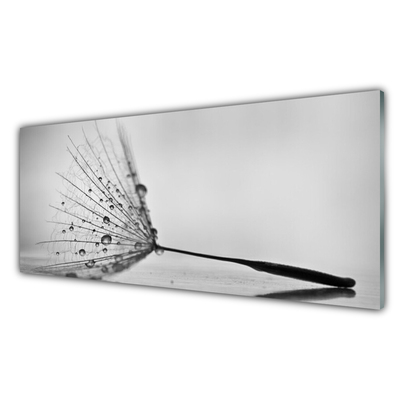 Painel vidro cozinha Sementes de dente-de-leão