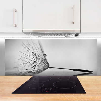 Painel vidro cozinha Sementes de dente-de-leão