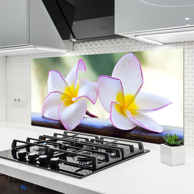 Painel vidro cozinha Flores Pétalas de Plumeria