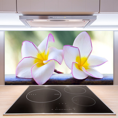 Painel vidro cozinha Flores Pétalas de Plumeria
