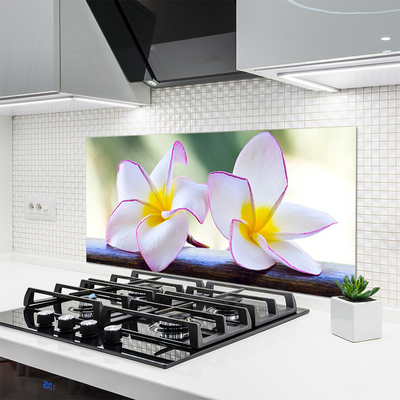 Painel vidro cozinha Flores Pétalas de Plumeria