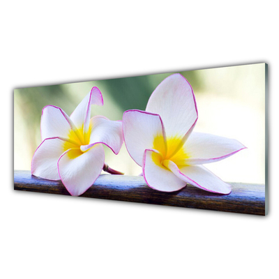 Painel vidro cozinha Flores Pétalas de Plumeria