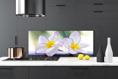 Painel vidro cozinha Flores Pétalas de Plumeria
