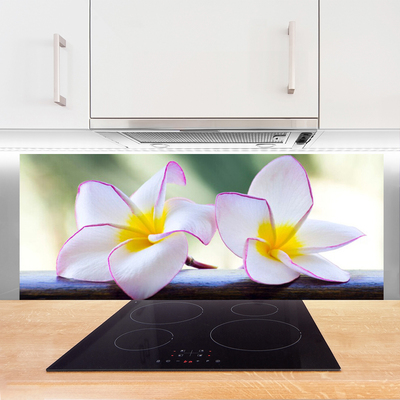 Painel vidro cozinha Flores Pétalas de Plumeria
