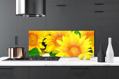 Painel vidro cozinha Natureza da Flor do Girassol