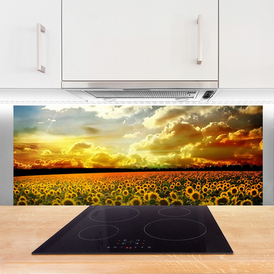Painel cozinha Paisagem de campo de girassóis