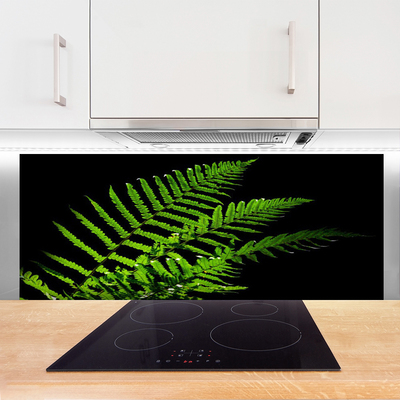 Painel cozinha Samambaias Folhas de Samambaias