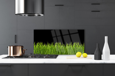 Painel cozinha Natureza da grama verde