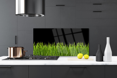 Painel cozinha Natureza da grama verde
