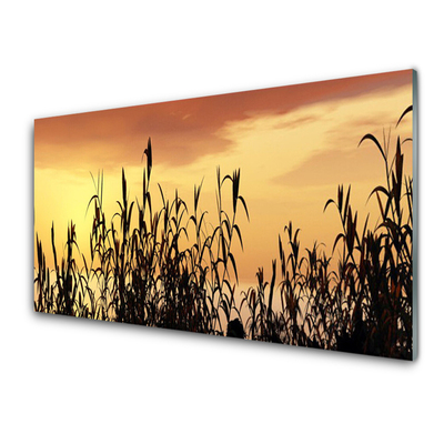 Painel cozinha Folhas Sunset Meadow Field
