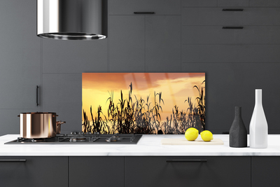 Painel cozinha Folhas Sunset Meadow Field