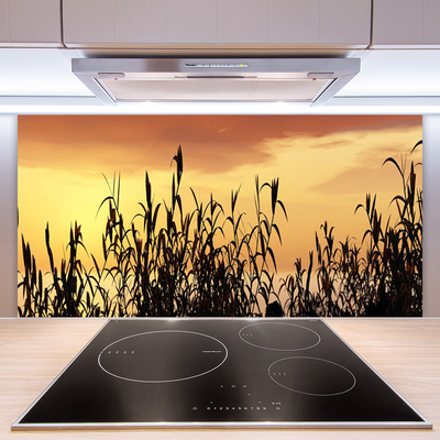 Painel cozinha Folhas Sunset Meadow Field