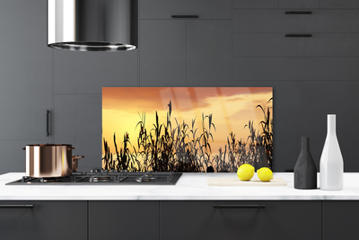 Painel cozinha Folhas Sunset Meadow Field