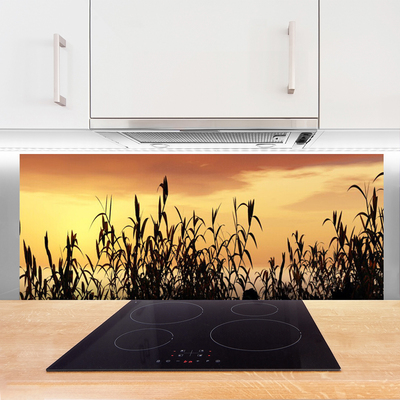Painel cozinha Folhas Sunset Meadow Field
